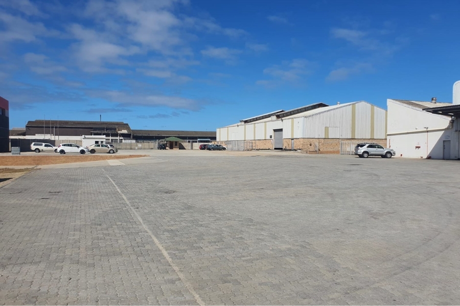 To Let commercial Property for Rent in Deal Party Eastern Cape